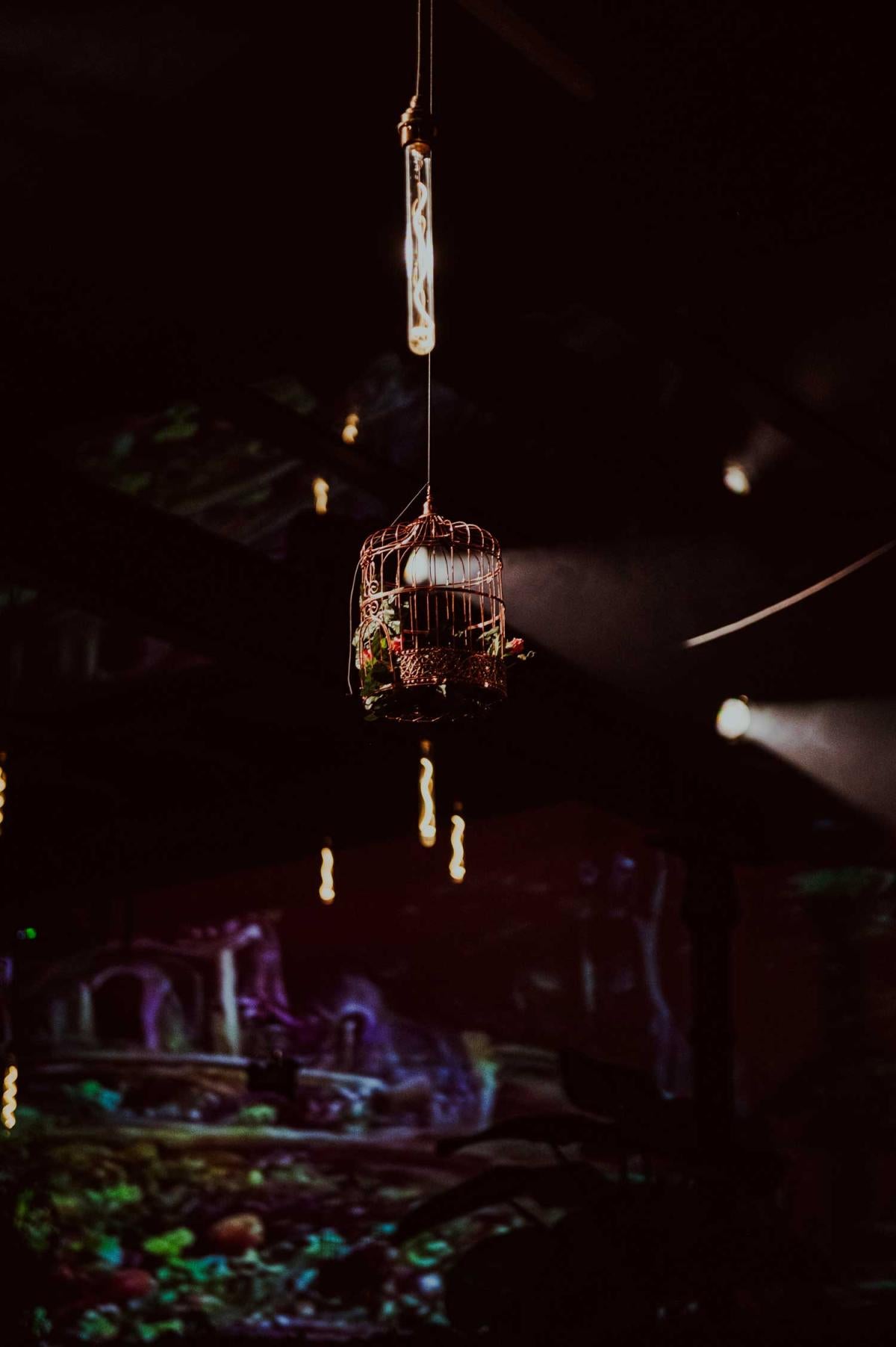 Gutschein FOODSTORIES Dinner & Show